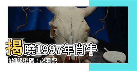 1997生肖配對|【1997生肖】揭秘1997年生肖配對禁忌：誰最合適？